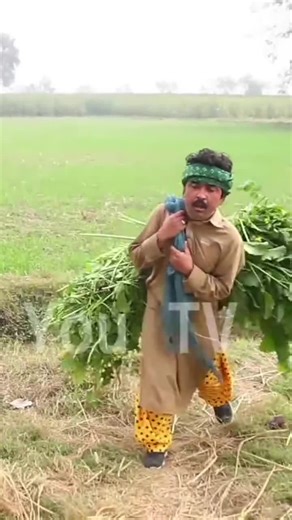 Funny Video Compilation of Numberdar Jokes