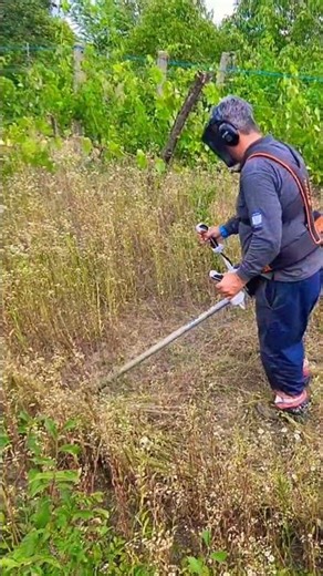 Ultimate Stihl FS 561 BrushCutter #stihl #fs #561 #brushcutter #garden #landscape