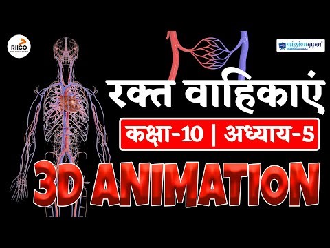 Blood Vessels 3d Animation | Class 10 Science Blood Vessels | Class 10 Science Chapter 5