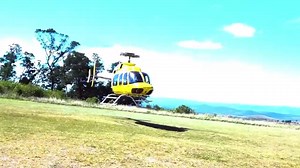 43K views · 3.1K reactions | ICYMI | Usuthu went to pay tribute to the King of the AmaZulu Kingdom. Attending the ceremony is coach @Benni McCarthy , the director Manzini Zungu , our President Sandile Zungu and the rest of the team. Stay tuned for exclusive interviews from the day  #HebeUsuthu | AmaZulu FC | Facebook