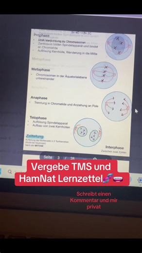 TMS und HamNat Lernzettel für Medizinstudium