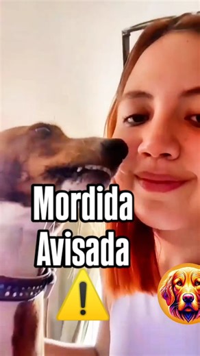 yagua.i on Instagram: "Un perro no muerde “sin avisar”. Lo que pasa es que nadie aprende a leer su lenguaje canino. ⚠️ Y cuando se ignoran, el resultado puede ser una mordida. A veces a un adulto. A veces a un niño. 📘 Si convivís con perros, esto es obligatorio para vos, esto puede evitar un accidente grave. En el enlace del perfil podés descargar el libro digital “El arte de educar un corazón canino” 🐾 📘 Aprendé a: • Leer el lenguaje real de tu perro • Interpretar señales de estrés • Respeta