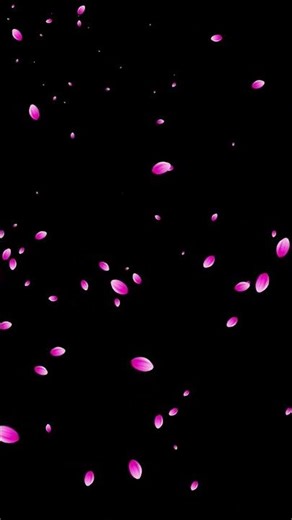 4k 60fps oled test monitor