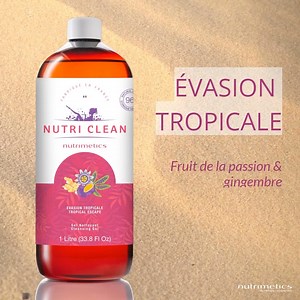 6K views · 36 reactions |  Découvre la nouvelle exclusivité de l'été...