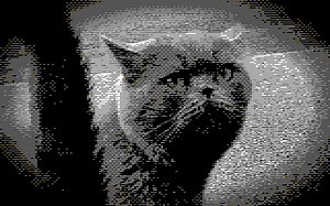 Early PC build for donators.