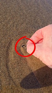 275K views · 10K reactions | Small coin - Big money... | X-Findings • Metal Detector Finds | Facebook