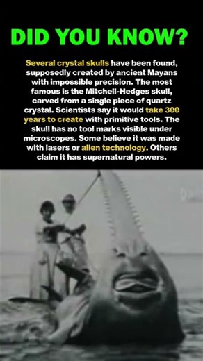 Did you know this fact? #history #historyfacts