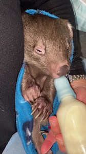 350K views · 69K reactions | For your viewing pleasure on...