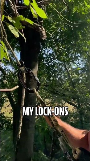 Tree Stand Safety: Don't Fall! Simple Steps to Prevent Accidents #shorts