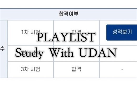 【韩国发疯姐UDAN学习vlog｜2024.11.27】让你通过考试的音乐🔥study with UDAN