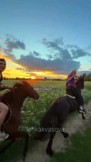 Thrilling Horseback Riding Experience: Adrenaline Rush in Olympics