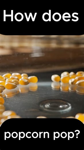 How does popcorn pop?