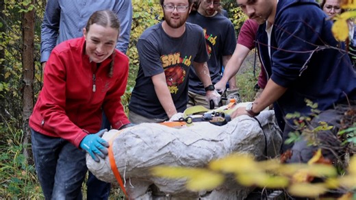 #TheMoment a giant dinosaur skull was dug up in Alberta