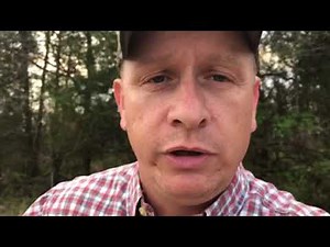 Pastured Pigs And Raising Grass Fed Pork