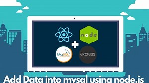 How to connect react nodejs and mysql