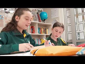 Mount Barker South Primary School - Levels of Learning
