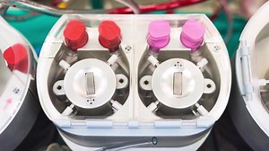 16 reactions | After watching this video, you will be able to...