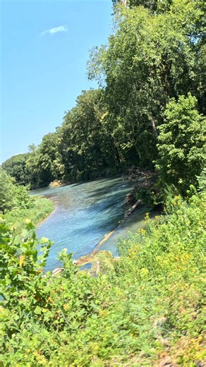 35K views · 412 reactions | Have you crossed this bridge? This is Eleven Point River in Alton Mo. This is just downstream from Greer Spring. Greer Spring is Missouri's 2nd largest spring. It adds about 210 million gallons a day. It is freezing cold and instantly turns this section of Eleven Point into a cold water fishery. | Show Me Creeks | Facebook