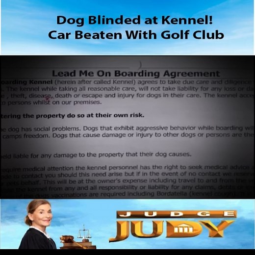 Braces Gone Wrong: Dental Work Disaster 😬🦷 | Queen Omega