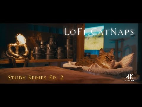 Lofi Beats Mix 🎧 Real Cats, No AI, No Loops 🐈 Study Ep. 2