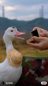 Him: “Why are you crying? It’s just a stupid Chinese Soap Opera.” Me: You don’t understand you will never understand!!!! Chinese Soap Opera in question #sad #funny #meme #memes | The Baird's Roar