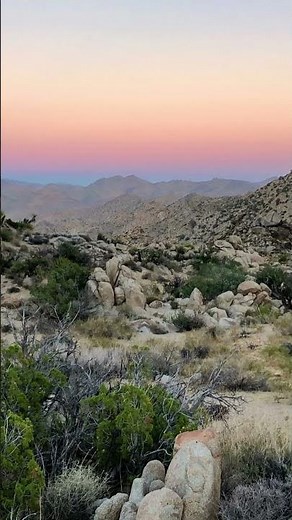 The Mojave Desert