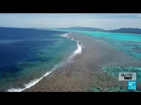 Overseas: Is France really taking care of its marine protected areas? • FRANCE 24