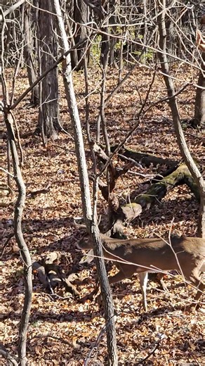 Keep growing little fella | Shawn Ciampa