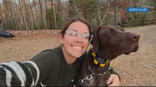 Pythiosis, or swamp cancer, affecting dogs in Sarasota and Manatee counties