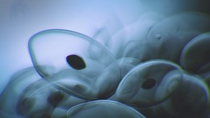 Virus Attacking Cell Under Microscope 3d Stock Footage Video (100% Royalty-free) 1046426707 | Shutterstock