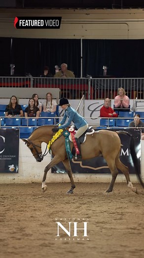 1.3K views · 416 reactions | From the show ring to the lesson ring,...