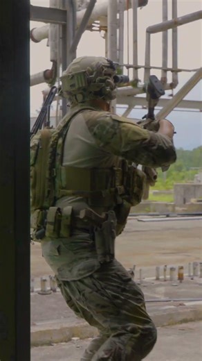 Announcing the MOD and MOD Plus Placard - Haley Strategic Partners