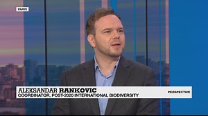 Perspective - Fighting climate change: The importance of biodiversity