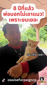 251K views · 10K reactions | เมื่อพ่อบอกไม่เอาแมว เพราะขนเยอะ!!  #แมว #ทาสแมว #แมวน่ารัก #แมวตลก #แมวซน #แมวแสบ #ทาสหมาแมว #คนรักแมว #ชมรมคนรักแมว #แมวดื้อ #แมวอ้วน #แมวเหมียว | ทาสแมว | Facebook