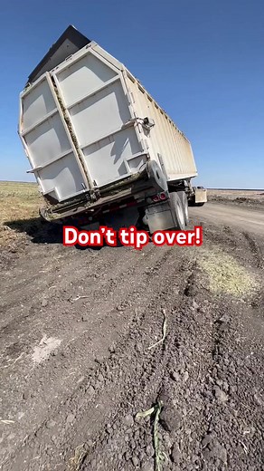 7.3K views · 29 reactions | Stuck silage truck! #farmtech #silage #farm #farmmachinery #tractor #farming #farmpower #agriculture #agri #chopper #harvest #tractor #agro #claas #farmequipment | Nikabelly | Facebook