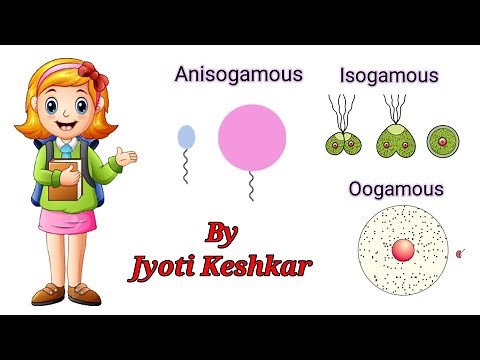 Isogamous, Anisogamous and Oogamous Fertilization with Examples easy Explanation by Jyoti Keshkar
