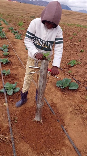 #village #agriculture #farming #farmlife #southafrica #africa