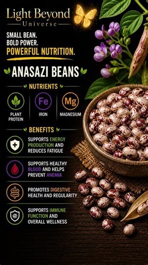 Anasazi Beans 🏜️ Small Bean. Bold Power. Powerful Nutrition. ( Part 15 )