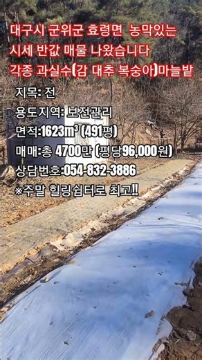 155번 대구시 군위군 효령면소재 아주싼밭#군위땅#군위부동산매물#의성땅#경북땅#주말농장