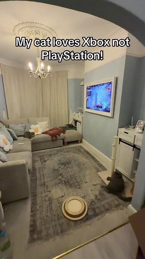 Why My Cat Loves Playing Xbox Games
