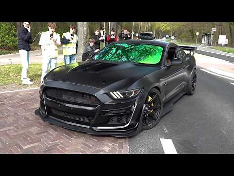 BEST OF FORD MUSTANG SOUNDS! Mustang GTD, Shelby GT500, Mach 1, GT V8, Alphamale Widebody, Roush GT
