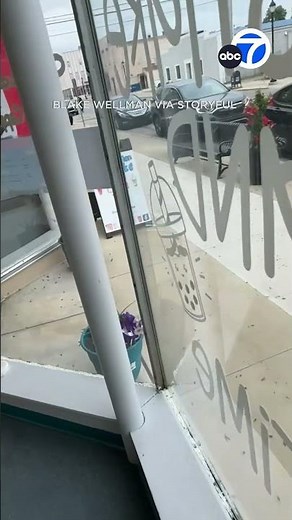 Piles of dead mayflies cleared out with leaf blowers 😖🦟