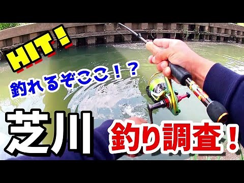 [Shiba River] Lure fishing survey! What can you catch?