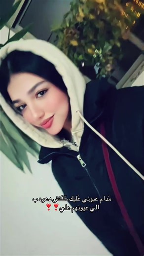 Discover Biscoitocut Effects with CapCut