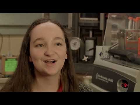 What is Industrial & Manufacturing Systems Engineering?