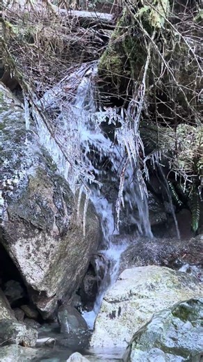 Icicles at Waterfall