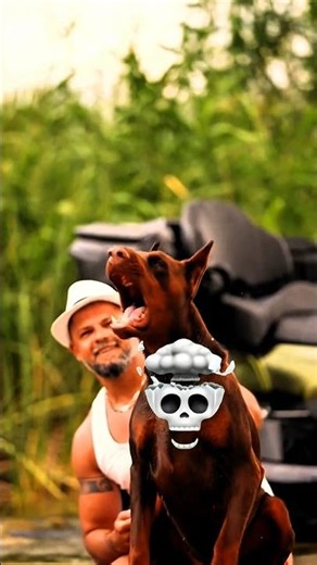 Biggest Pitbull You’ll Ever See ☠️💀