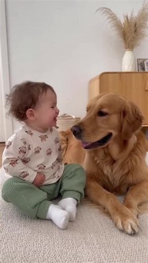 858K views · 10K reactions | Their little woof chat made my day 凉 | The Movie Buff’s Corner | Facebook