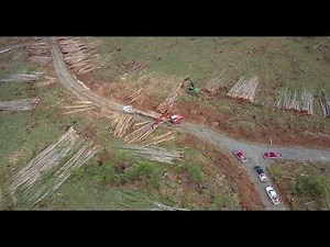 2017 logging and road building