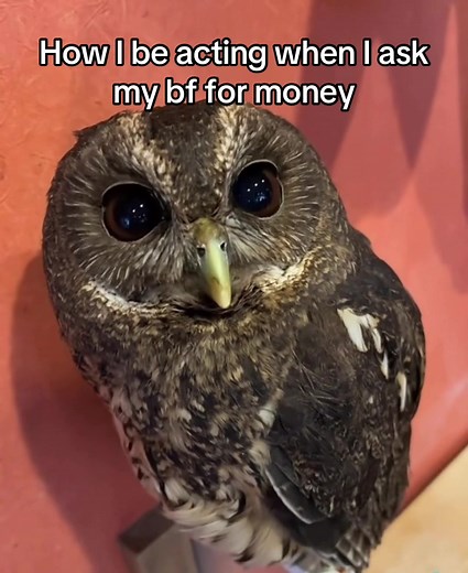 Asking My BF for Money: How I Act and What Happens
